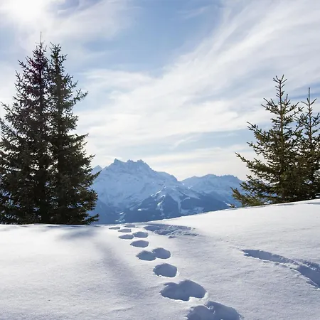 Apartament Diamant 1 By Interhome