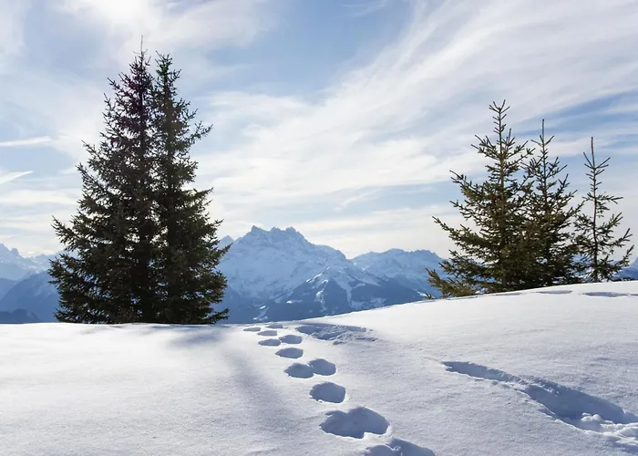 Lejlighed Diamant 1 By Interhome